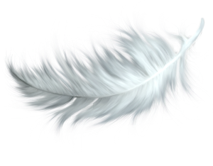 Spiritual Feather Line Break